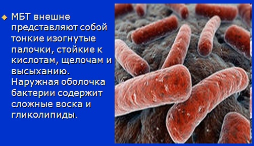 ПАРКЕС-Биорезонанс