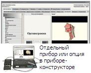 Кликните чтоб увеличить фото «Паркес-Д»: Органограмма, экспресс-диагностика «Паркес-Д»: Органограмма, экспресс-диагностика