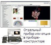 Кликните чтоб увеличить фото Вирусно-бактериальное и экологическое отягощение Паркес-Д «Паркес-Д»: Вирусно-бактериальное и экологическое отягощение