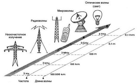 Купить прибор Паркес - Skype: top707