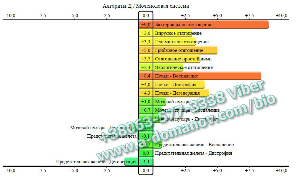 3. Алгоритм Д Мочеполовая система Parkes-D_biorezonans_diagnostic_body_Parkes-D-0504