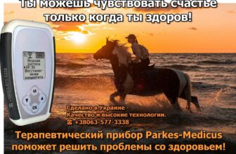 Прибор мини-доктор «Parkes-Medicus» для коррекции (реабилитации) широкого спектра состояний